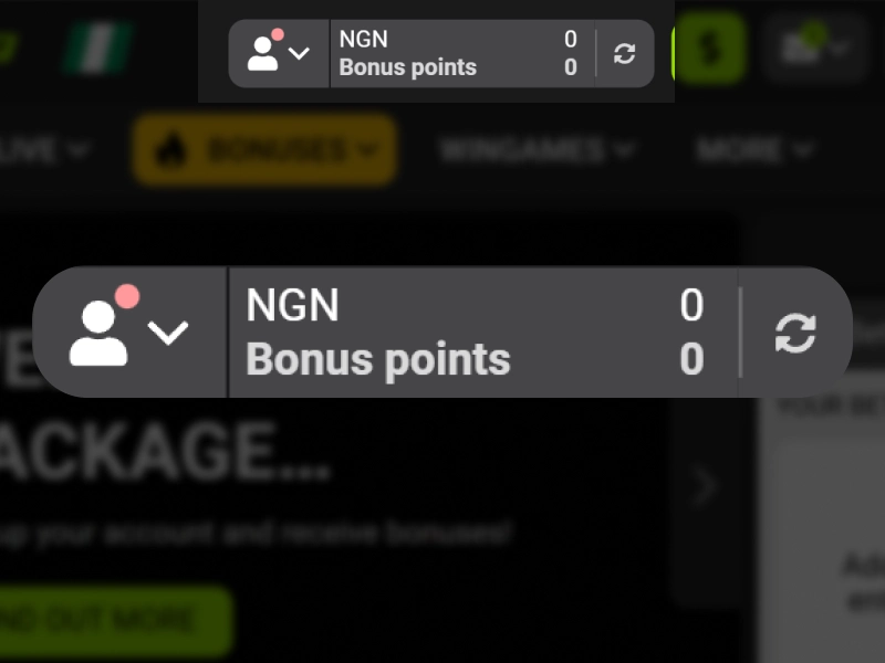 WinWin Nigeria user account dashboard after successful social login
